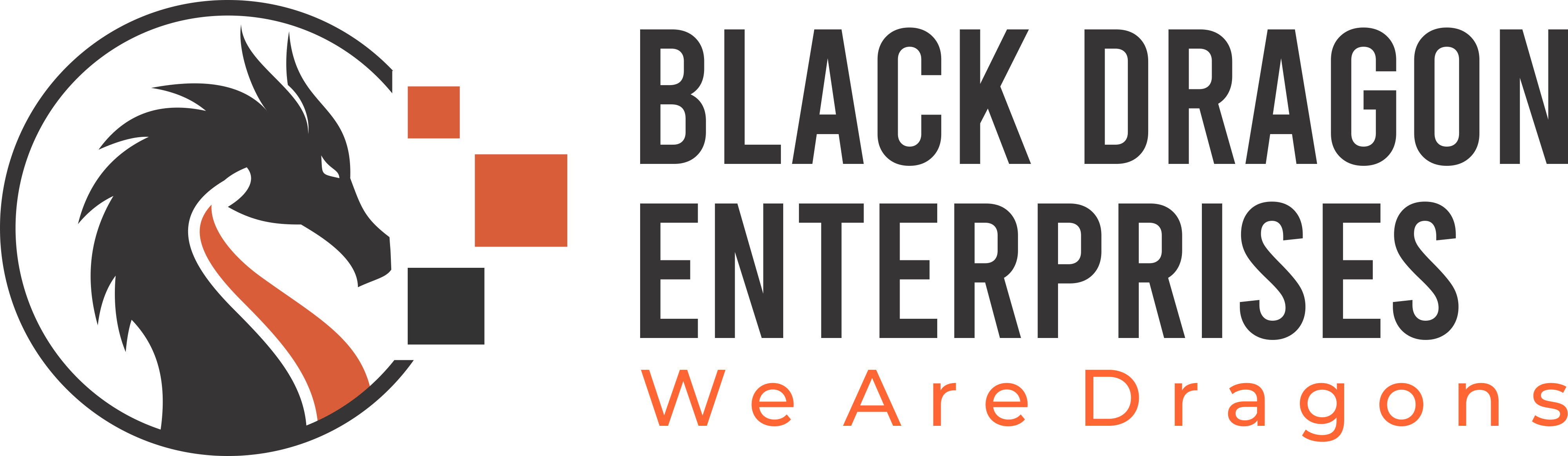 Black Dragon Marketing Client Portfolio